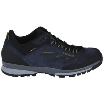 Wandelschoenen Lowa Delago Low Gtx