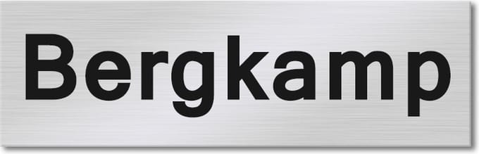 Kirinify - RVS Naambordje voordeur 8 x 2.5 cm met lasergravering - Zelf ontwerpen