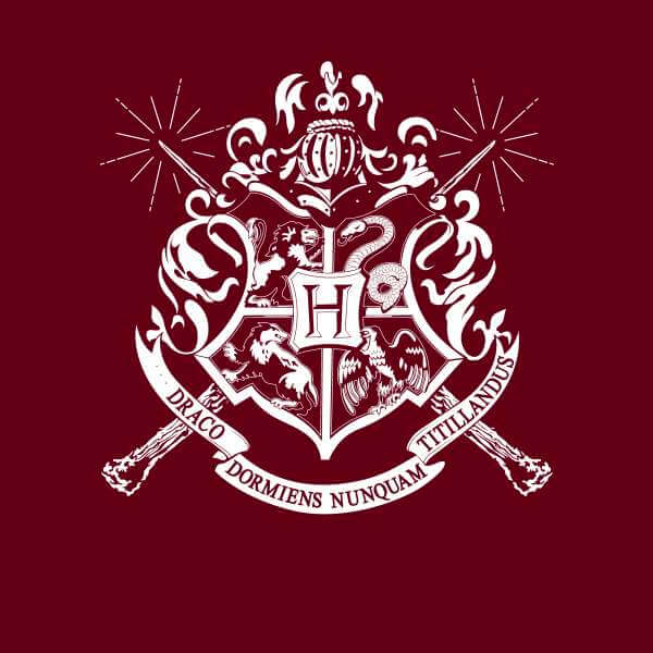 Harry Potter Hogwarts House Crest Hoodie - Burgundy - S