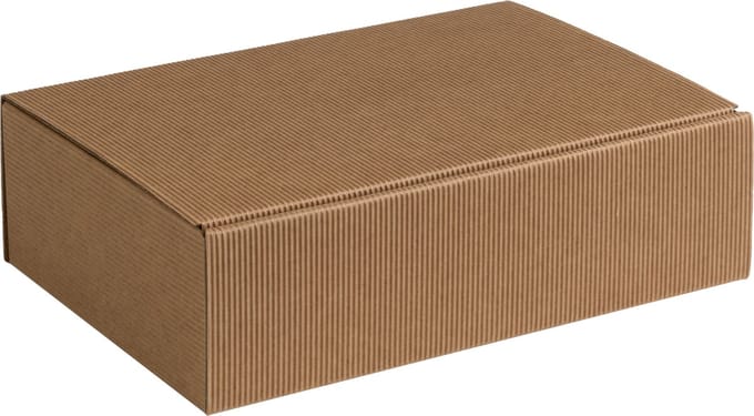 Geschenkdoos ribbelkarton 20x14x7cm NATUREL (100 stuks)
