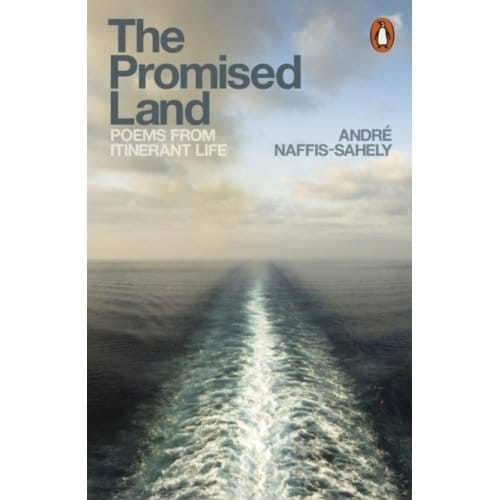 The Promised Land - Andre Naffis-Sahely