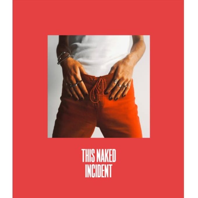 This Naked Incident - Alexander van der Heide