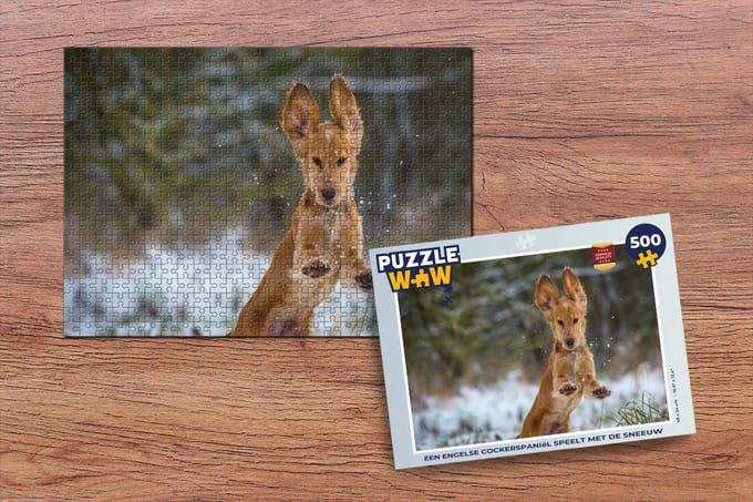 Puzzel Een Engelse cockerspaniël speelt met de sneeuw - Legpuzzel - Puzzel 500 stukjes