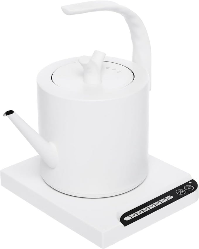 Elektrische Waterkoker met Variabele Temperatuurinstelling en Warmhoudfunctie