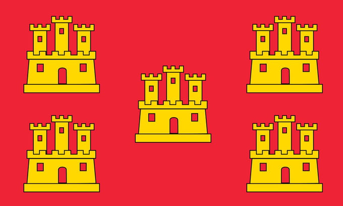 Vlag Poitou 100x150cm