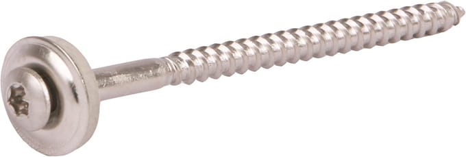 Gevelplaatschroef met Ring - 4,5x100mm - RVS A2 - TX20