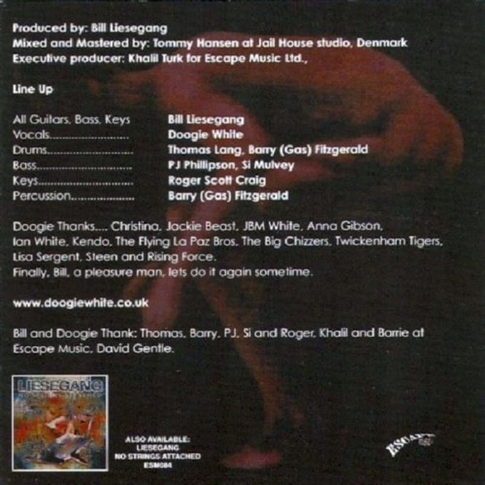 Visual Surveillance Of Ex - Liesegang /white