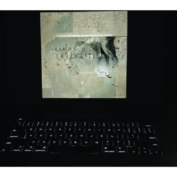 Lambchop - The Bible (2 LP) (Coloured Vinyl) (Limited Edition)