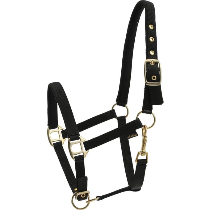 Gewatteerd nylon halster voor paarden HorseGuard
