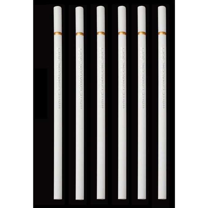 6 stuks/set witte houtskoolpotloden tekenset professionele witte schetspotloden voor tekenen schetskrijtpotloden voor beginners white