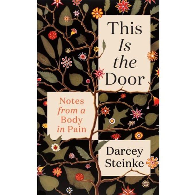 This Is The Door - Darcey Steinke