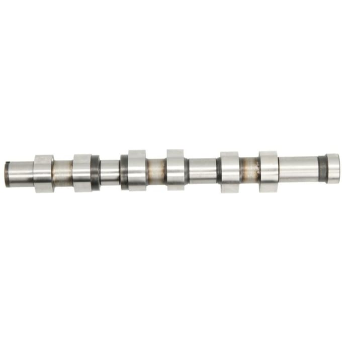 Nokkenas  AE CAM923