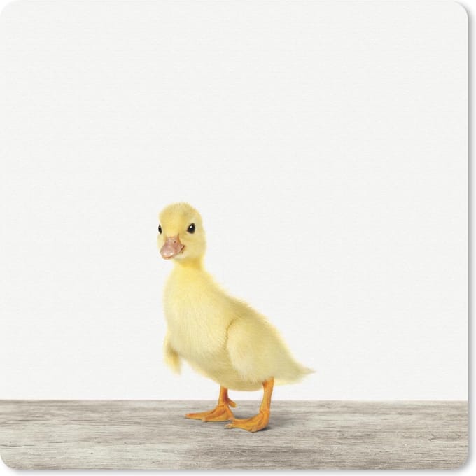 Muismat 20x20 cm - Mousepad Dieren - Geel - Eend - Muismatten