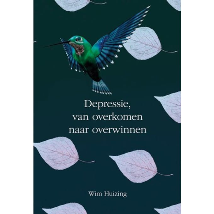 Depressie, Van Overkomen Naar Overwinnen - Wim Huizing