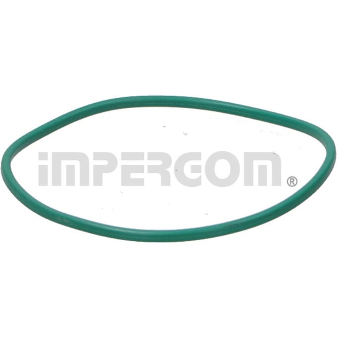 Pakking, brandstofpomp IMPERGOM 25204