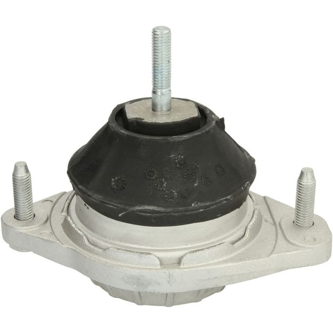 Motorsteun REINHOCH RH11-0021 links