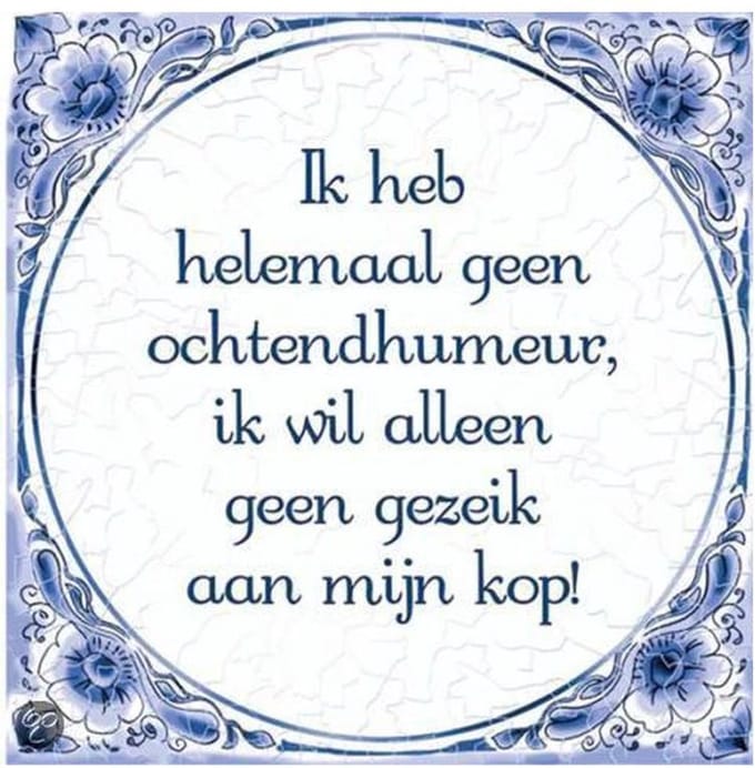 Tegels delfts blauw - Ochtendhumeur