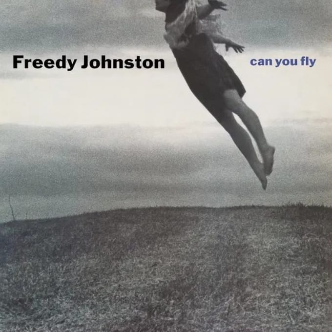 Can You Fly