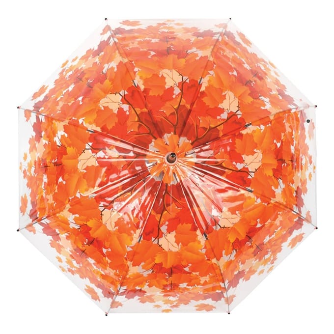 Paraplu boomkroon herfst