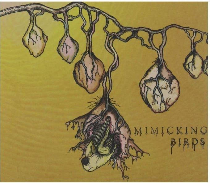 Mimicking Birds