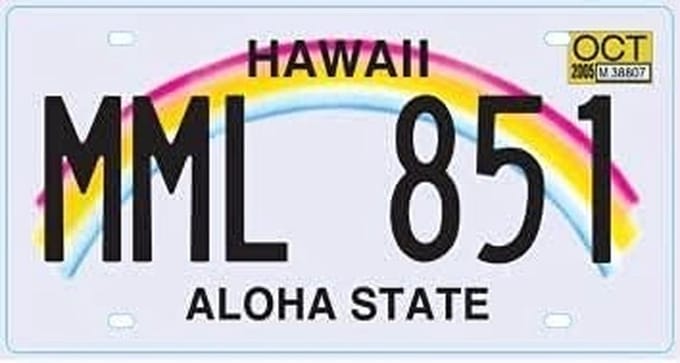 Amerikaans Nummerbord Replica Metaal 30x15 cm Staat naar Keuze