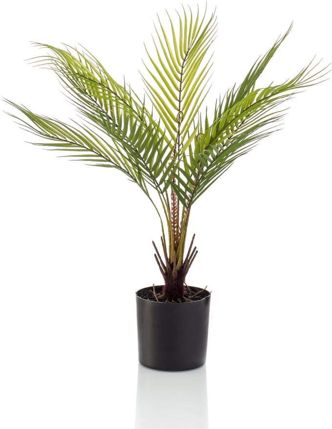Emerald - Kunstplant Chamaedorea Palm 50cm - Kunstplant voor binnen