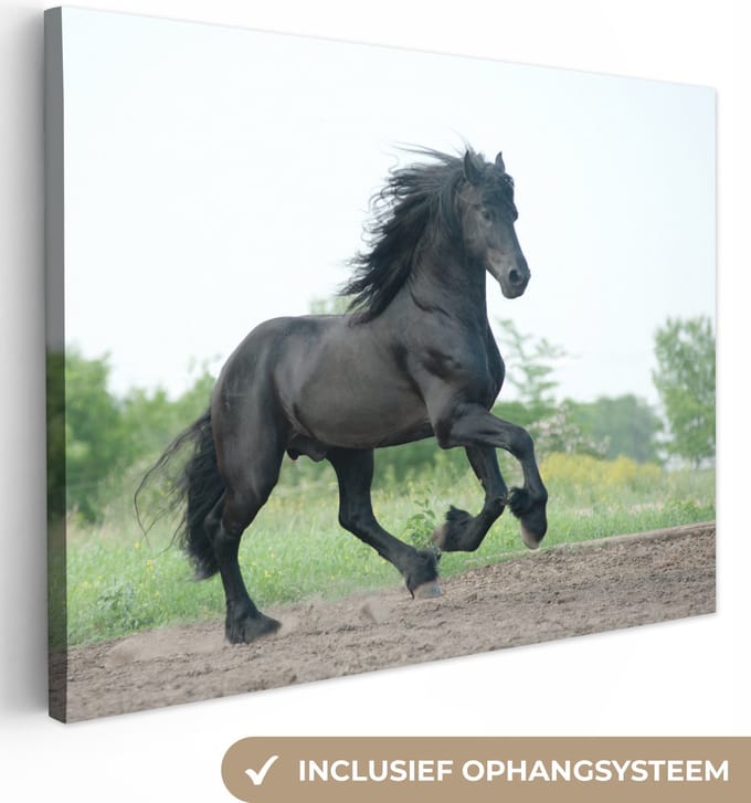 Canvas Schilderij Paard - Zwart - Natuur - 80x60 cm - Wanddecoratie