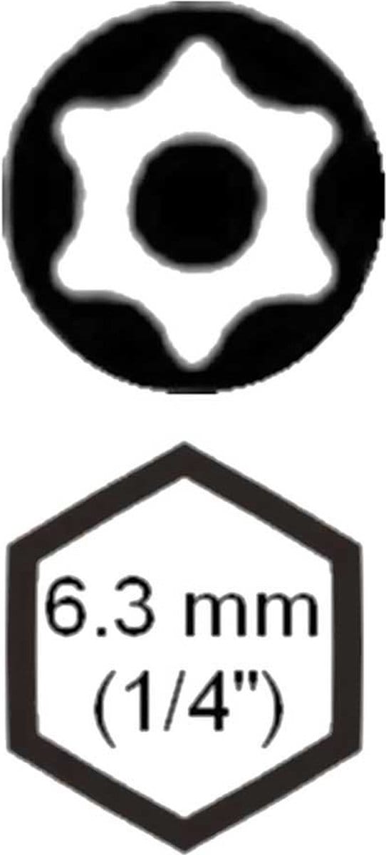SW-Stahl TBM/4-T20 schroefdraaibit, 6,3 mm (1/4") aandrijving TR-profiel