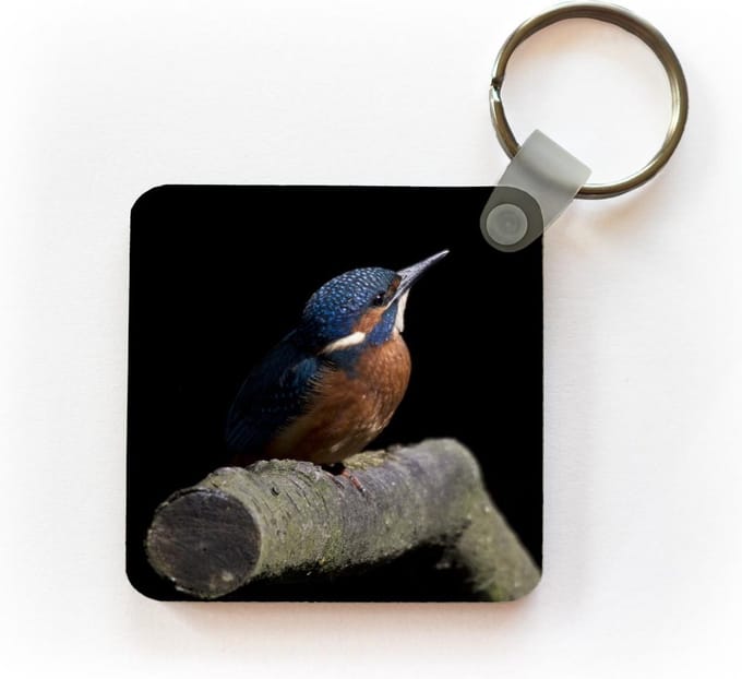 Sleutelhanger - Uitdeelcadeautjes - IJsvogel - Veren - Vogel - Plastic