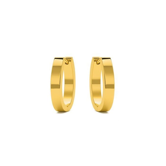 Luxenter 18K goudkleurige oorbellen - Firax