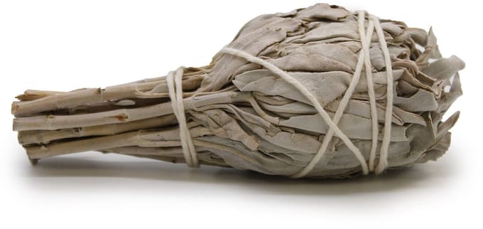 Smudge Stick - White Sage Torch 10cm