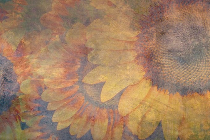 Fotobehang - Sunflower Abstract 375x250cm - Vliesbehang