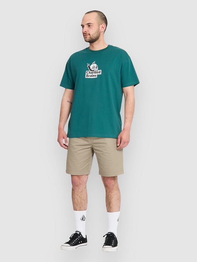 Volcom Frickin II EW19 Korte Broek