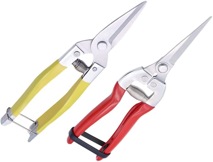 Dailygoods - Tuin snoeischaar met micro-tip voor precisie snoeien