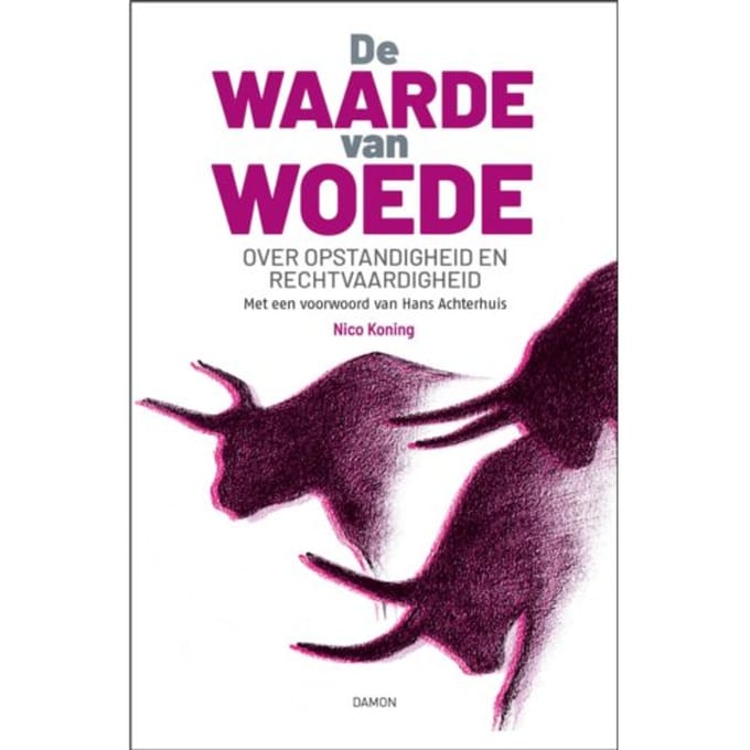 De Waarde Van Woede - Nico Koning