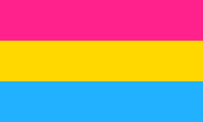 Panseksueel Vlag 150x225cm