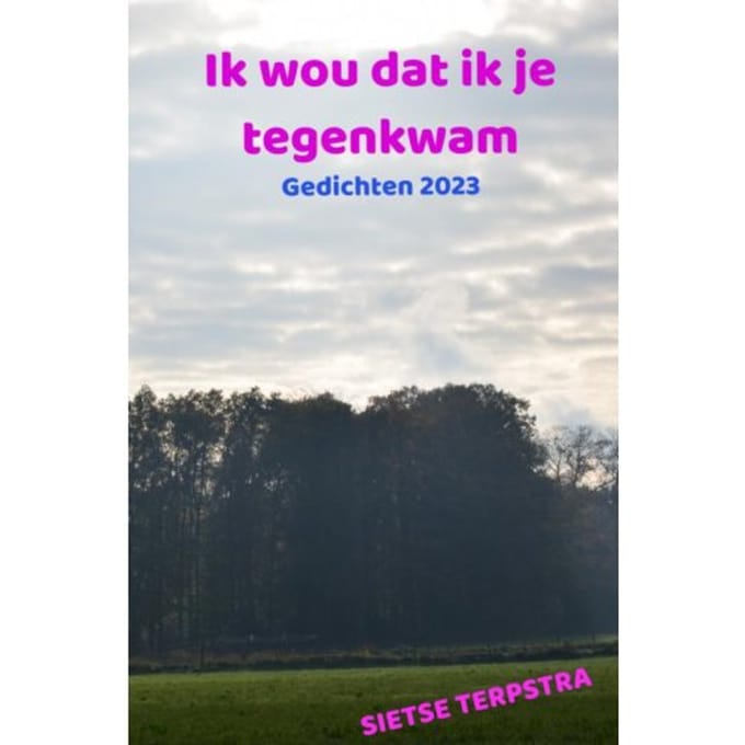 Ik Wou Dat Ik Je Tegenkwam - Sietse Terpstra