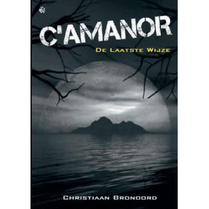 De Laatste Wijze - Christiaan Bronoord