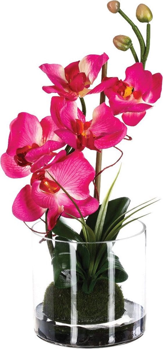 Kunstmatige orchidee in glas, 37 cm