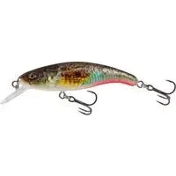 Lok Salmo Slick Stick