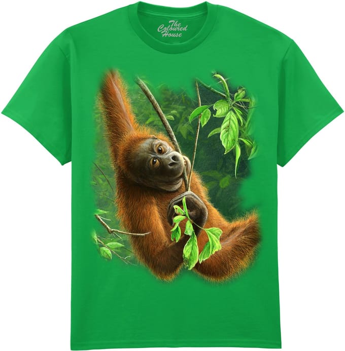 Orangoetan Hanging Orangutan The Coloured House T-shirt M