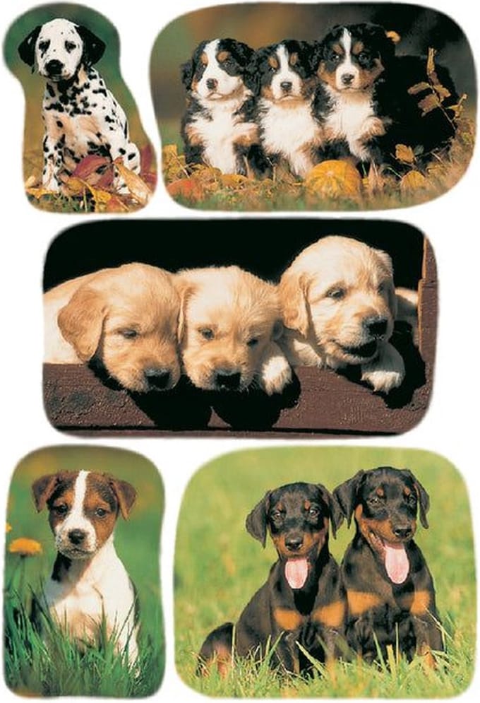 Etiket herma 3528 honden | 10 stuks