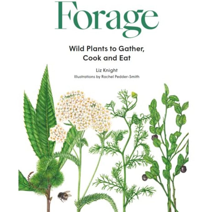 Forage - Liz Knight