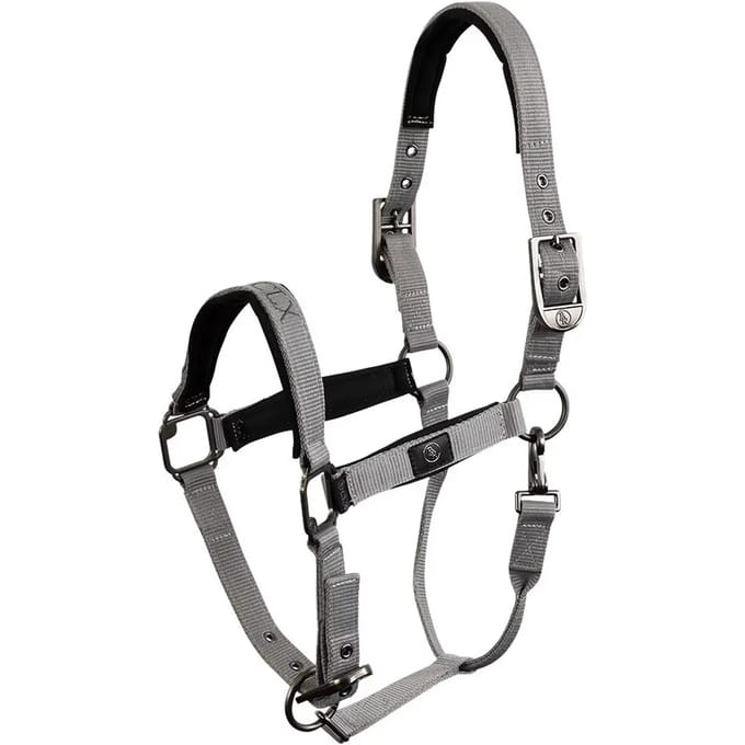Halster voor paarden BR Equitation CLX