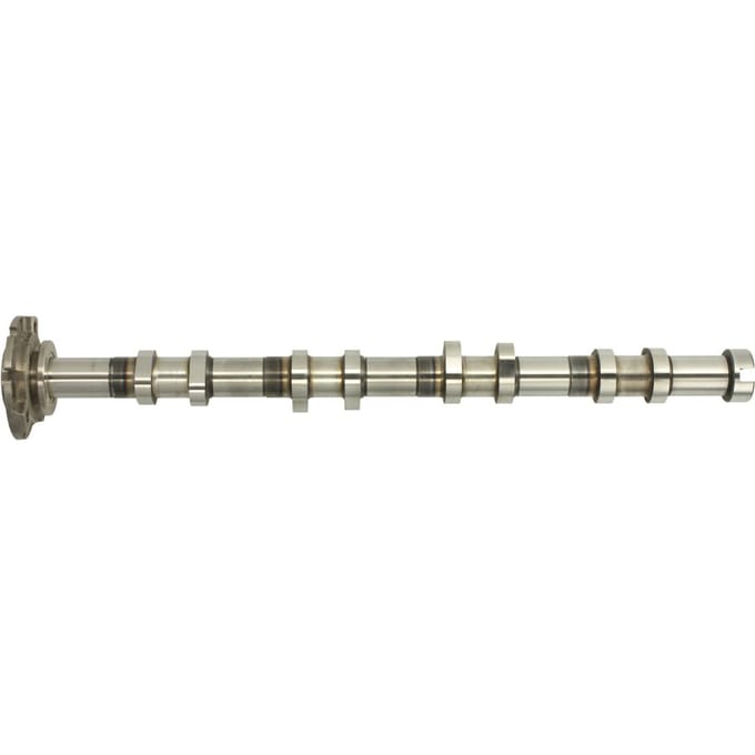 Nokkenas  AE CAM956