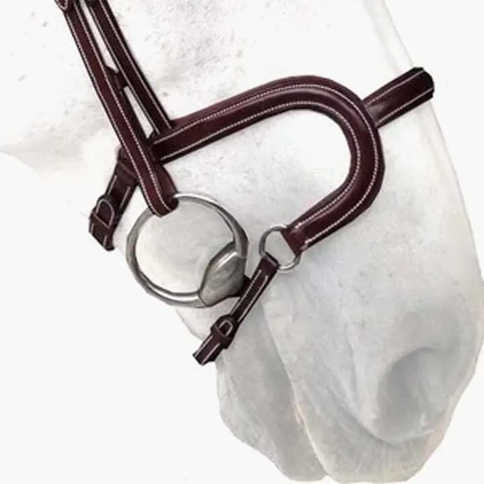 Platte lederen paardenneusriem Silver Crown H Classique