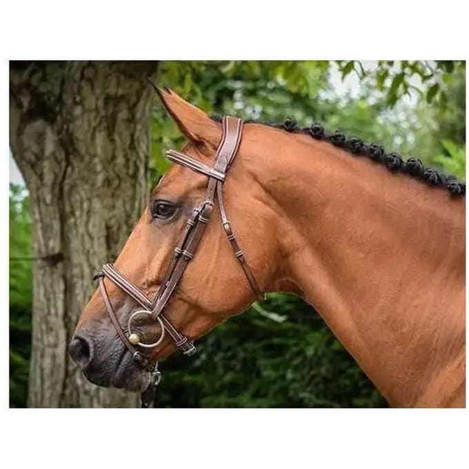 Hoofdstellen Parijs Jump'In Collection One