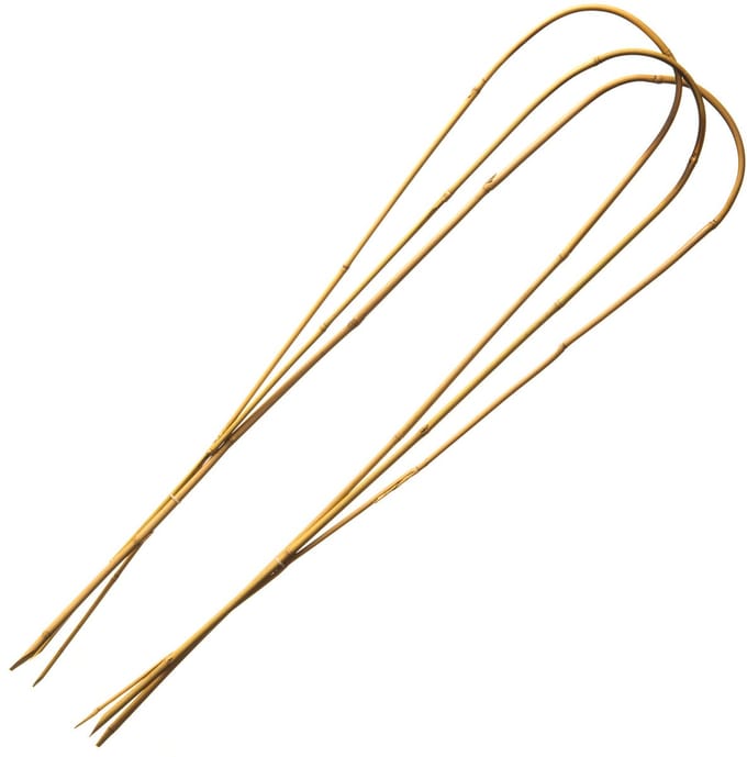 Nature Bamboestok Gebogen Natural - Klim-En Geleide Artikel - 60 cm