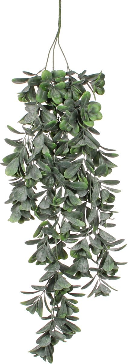 MICA DECORATIONS - Kunstplant Crassula L 79 cm - Groen