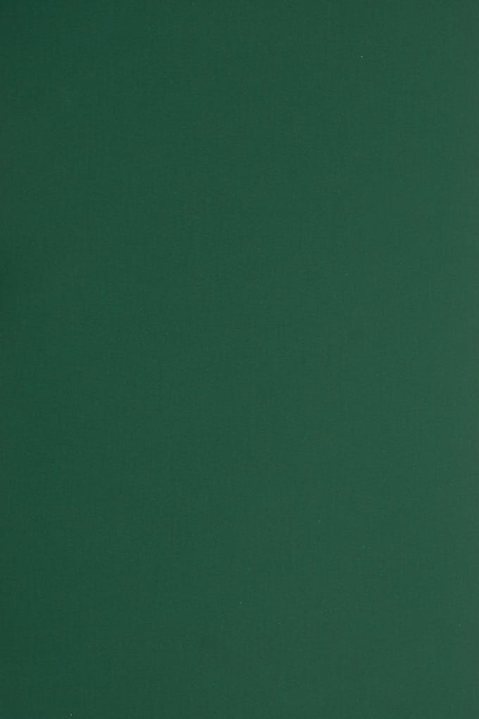 Netuno - groen glad gekleurd papier - A4 - 21 x 29,7 cm - 10 vellen - 330 gram - Plike Green